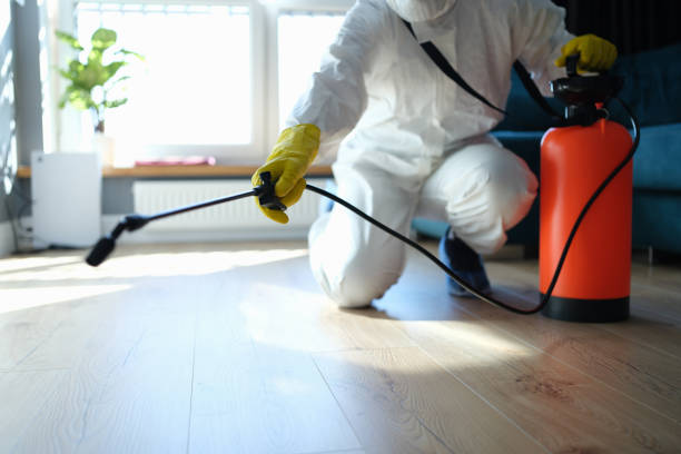 Reliable Infectious Disease Decontamination contractor in Altamont, IL by Crime Scene Cleaner Online